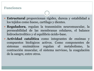 Funciones
 Estructural proporcionan rigidez, dureza y estabilidad a
los tejidos como hueso, cartílago y dientes.
 Reguladora, regulan la transmisión neuromuscular, la
permeabilidad de las membranas celulares, el balance
hidroelectrolítico y el equilibrio ácido-base.
 Actividad catalítica como integrantes de enzimas y
compuestos biológicos activos. Como componentes de
sistemas enzimáticos regulan el metabolismo, la
contracción muscular, el sistema nervioso, la coagulación
de la sangre, entre otros.
 