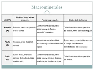 Macrominerales
Potasio
(K)
Bananas, verduras, patatas,
leche, carnes
Mantenimiento del equilibrio
ácido-base y de fluidos,
transmisión nerviosa
Calambres musculares, pérdida
del apetito, ritmo cardiaco irregular
Azufre
(S)
Pescado, aves de corral,
carnes
Mantenimiento del equilibrio
ácido-base y funcionamiento del
hígado
Trastornos poco probables aunque
el cuerpo reciba menos
cantidades de las necesarias
Sodio
(Na)
Sal de mesa, mariscos,
carnes, derivados lácteos,
acelga, apio.
Mantenimiento del equilibrio
ácido-base y del nivel de agua
en el cuerpo, función nerviosa
Calambres musculares, pérdida
del apetito
MINERAL
Alimentos en los que se
encuentra Funciones principales Efectos de la deficiencia
 