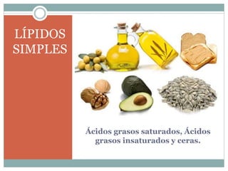 Ácidos grasos saturados, Ácidos
grasos insaturados y ceras.
LÍPIDOS
SIMPLES
 