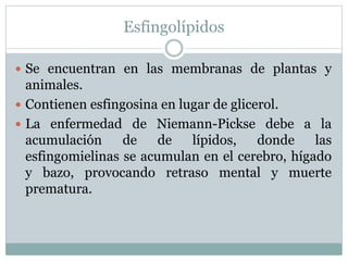 Esfingolípidos
 Se encuentran en las membranas de plantas y
animales.
 Contienen esfingosina en lugar de glicerol.
 La enfermedad de Niemann-Pickse debe a la
acumulación de de lípidos, donde las
esfingomielinas se acumulan en el cerebro, hígado
y bazo, provocando retraso mental y muerte
prematura.
 