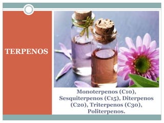 Monoterpenos (C10),
Sesquiterpenos (C15), Diterpenos
(C20), Triterpenos (C30),
Politerpenos.
TERPENOS
 