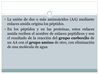  La unión de dos o más aminoácidos (AA) mediante
enlaces amida origina los péptidos.
 En los péptidos y en las proteínas, estos enlaces
amida reciben el nombre de enlaces peptídicos y son
el resultado de la reacción del grupo carboxilo de
un AA con el grupo amino de otro, con eliminación
de una molécula de agua
 