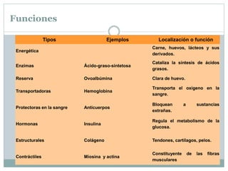 Funciones
Tipos Ejemplos Localización o función
Energética
Carne, huevos, lácteos y sus
derivados.
Enzimas Ácido-graso-sintetosa
Cataliza la síntesis de ácidos
grasos.
Reserva Ovoalbúmina Clara de huevo.
Transportadoras Hemoglobina
Transporta el oxígeno en la
sangre.
Protectoras en la sangre Anticuerpos
Bloquean a sustancias
extrañas.
Hormonas Insulina
Regula el metabolismo de la
glucosa.
Estructurales Colágeno Tendones, cartílagos, pelos.
Contráctiles Miosina y actina
Constituyente de las fibras
musculares
 