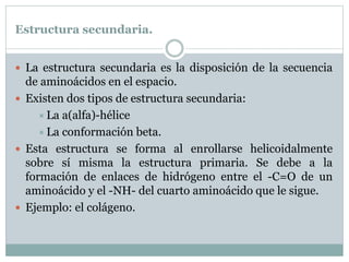 Estructura secundaria.
 La estructura secundaria es la disposición de la secuencia
de aminoácidos en el espacio.
 Existen dos tipos de estructura secundaria:
La a(alfa)-hélice
La conformación beta.
 Esta estructura se forma al enrollarse helicoidalmente
sobre sí misma la estructura primaria. Se debe a la
formación de enlaces de hidrógeno entre el -C=O de un
aminoácido y el -NH- del cuarto aminoácido que le sigue.
 Ejemplo: el colágeno.
 