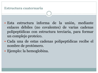 Estructura cuaternaria
 Esta estructura informa de la unión, mediante
enlaces débiles (no covalentes) de varias cadenas
polipeptídicas con estructura terciaria, para formar
un complejo proteico.
 Cada una de estas cadenas polipeptídicas recibe el
nombre de protómero.
 Ejemplo: la hemoglobina.
 