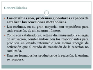 Generalidades
 Las enzimas son, proteínas globulares capaces de
catalizar las reacciones metabólicas.
 Las enzimas, en su gran mayoría, son específicas para
cada reacción, de ahí su gran número.
 Como son catalizadores, actúan disminuyendo la energía
de activación, combinándose con los reaccionantes para
producir un estado intermedio con menor energía de
activación que el estado de transición de la reacción no
catalizada.
 Una vez formados los productos de la reacción, la enzima
se recupera.
 
