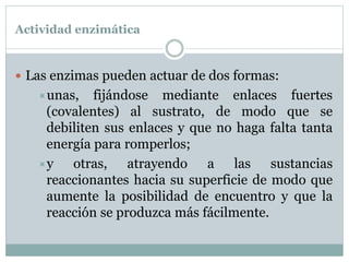 Actividad enzimática
 Las enzimas pueden actuar de dos formas:
unas, fijándose mediante enlaces fuertes
(covalentes) al sustrato, de modo que se
debiliten sus enlaces y que no haga falta tanta
energía para romperlos;
y otras, atrayendo a las sustancias
reaccionantes hacia su superficie de modo que
aumente la posibilidad de encuentro y que la
reacción se produzca más fácilmente.
 