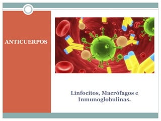 Linfocitos, Macrófagos e
Inmunoglobulinas.
ANTICUERPOS
 