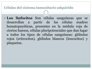 Células del sistema inmunitario adquirido
 Los linfocitos Son células sanguíneas que se
desarrollan a partir de las células madres
hematopoyéticas, presentes en la médula roja de
ciertos huesos, células pluripotenciales que dan lugar
a todos los tipos de células sanguíneas: glóbulos
rojos (eritrocitos), glóbulos blancos (leucocitos) y
plaquetas.
 