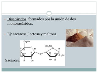 • Disacáridos: formados por la unión de dos
monosacáridos.
• Ej: sacarosa, lactosa y maltosa.
Sacarosa
 