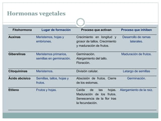 Hormonas vegetales
Fitohormona Lugar de formación Proceso que activan Proceso que inhiben
Auxinas Meristemos, hojas y
embriones.
Crecimiento en longitud y
grosor de tallos. Crecimiento
y maduración de frutos.
Desarrollo de ramas
laterales.
Giberelinas Meristemos primarios,
semillas en germinación.
Germinación.
Alargamiento del tallo.
Floración.
Maduración de frutos.
Citoquininas Meristemos. División celular. Letargo de semillas
Ácido abcísico Semillas, tallos, hojas y
frutos.
Abscisión de frutos. Cierre
de los estomas.
Germinación.
Etileno Frutos y hojas. Caída de las hojas.
Maduración de los frutos.
Senescencia de la flor tras
la fecundación.
Alargamiento de la raíz.
 