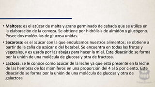 • Maltosa: es el azúcar de malta y grano germinado de cebada que se utiliza en
la elaboración de la cerveza. Se obtiene por hidrólisis de almidón y glucógeno.
Posee dos moléculas de glucosa unidas.
• Sacarosa: es el azúcar con la que endulzamos nuestros alimentos; se obtiene a
partir de la caña de azúcar o del betabel. Se encuentra en todas las frutas y
vegetales, y es usada por las abejas para hacer la miel. Este disacárido se forma
por la unión de una molécula de glucosa y otra de fructosa.
• Lactosa: se le conoce como azúcar de la leche ya que está presente en la leche
de las hembras de los mamíferos en una proporción del 4 al 5 por ciento. Este
disacárido se forma por la unión de una molécula de glucosa y otra de
galactosa
 