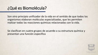 ¿Qué es Biomolécula?
Son otro principio unificador de la vida en el sentido de que todos los
organismos elaboran moléculas especializadas, que les permiten
realizar todas las reacciones químicas relacionadas con la vida.
Se clasifican en cuatro grupos de acuerdo a su estructura química y
presentan una función específica
 