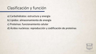 Clasificación y función
a) Carbohidratos: estructura y energía
b) Lípidos: almacenamiento de energía
c) Proteínas: funcionamiento celular
d) Ácidos nucleicos: reproducción y codificación de proteínas
 
