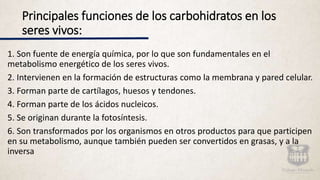 Principales funciones de los carbohidratos en los
seres vivos:
1. Son fuente de energía química, por lo que son fundamentales en el
metabolismo energético de los seres vivos.
2. Intervienen en la formación de estructuras como la membrana y pared celular.
3. Forman parte de cartílagos, huesos y tendones.
4. Forman parte de los ácidos nucleicos.
5. Se originan durante la fotosíntesis.
6. Son transformados por los organismos en otros productos para que participen
en su metabolismo, aunque también pueden ser convertidos en grasas, y a la
inversa
 