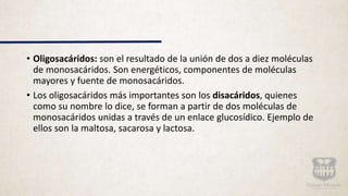 • Oligosacáridos: son el resultado de la unión de dos a diez moléculas
de monosacáridos. Son energéticos, componentes de moléculas
mayores y fuente de monosacáridos.
• Los oligosacáridos más importantes son los disacáridos, quienes
como su nombre lo dice, se forman a partir de dos moléculas de
monosacáridos unidas a través de un enlace glucosídico. Ejemplo de
ellos son la maltosa, sacarosa y lactosa.
 