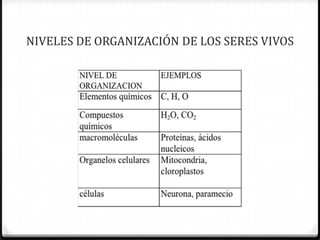 NIVELES DE ORGANIZACIÓN DE LOS SERES VIVOS
 