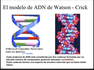 Biomoleculas y macromoleculas