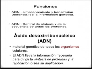Biomoleculas y macromoleculas