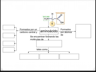 Biomoleculas y macromoleculas