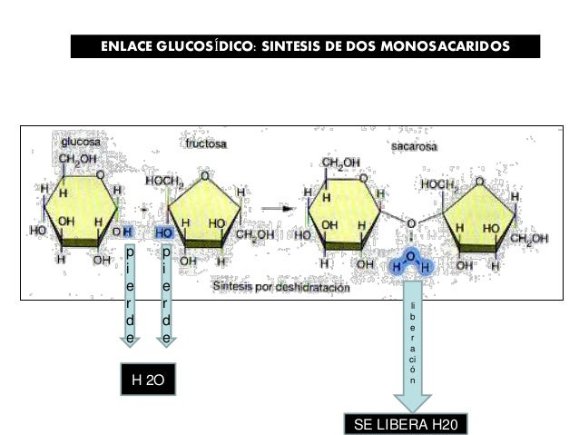 Leer sobre como acelerar el metabolismo basal