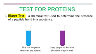 TEST FOR PROTEINS
1. Biuret Test – a chemical test used to determine the presence
of a peptide bond in a substance.
 