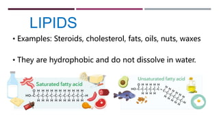 LIPIDS
• Examples: Steroids, cholesterol, fats, oils, nuts, waxes
• They are hydrophobic and do not dissolve in water.
 