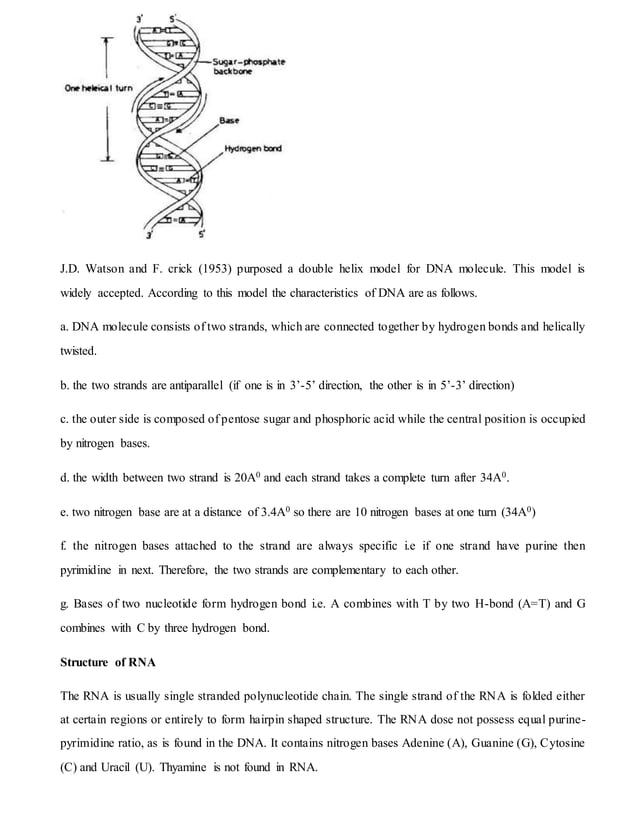 Biomolecule for class 11 science