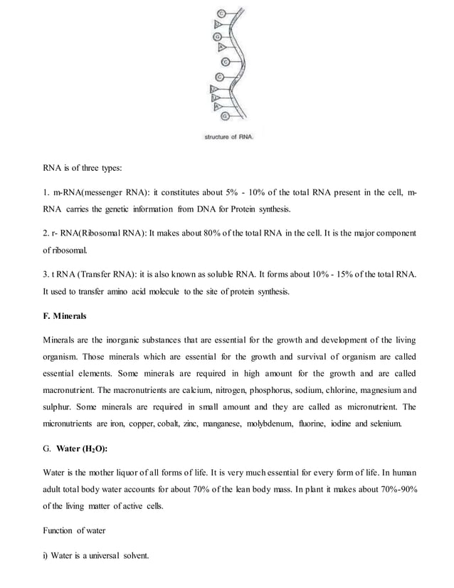 Biomolecule for class 11 science