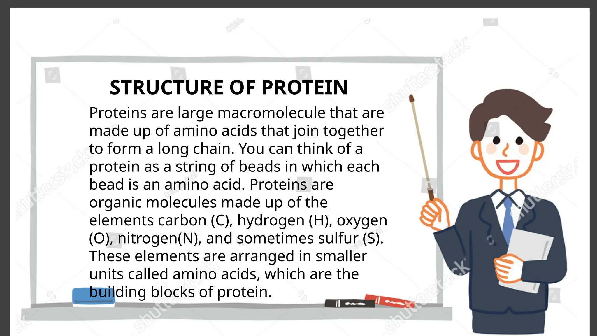 biomolecule6 protein, DNA and Enzymes.pptx
