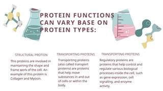 biomolecule6 protein, DNA and Enzymes.pptx