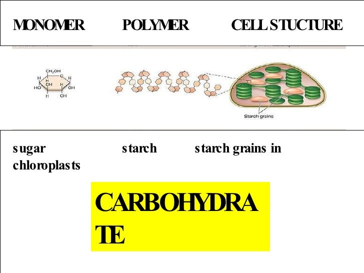 Biomolecules