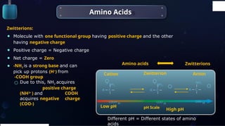 Biomolecules bology grade 11 oppr-1.pptx