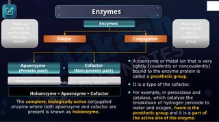 Biomolecules bology grade 11 oppr-1.pptx
