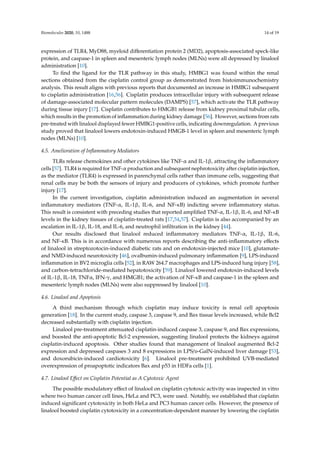 Biomolecules 2020, 10, 1488 14 of 19
expression of TLR4, MyD88, myeloid differentiation protein 2 (MD2), apoptosis-associated speck-like
protein, and caspase-1 in spleen and mesenteric lymph nodes (MLNs) were all depressed by linalool
administration [10].
To find the ligand for the TLR pathway in this study, HMBG1 was found within the renal
sections obtained from the cisplatin control group as demonstrated from histoimmunochemistry
analysis. This result aligns with previous reports that documented an increase in HMBG1 subsequent
to cisplatin administration [16,56]. Cisplatin produces intracellular injury with subsequent release
of damage-associated molecular pattern molecules (DAMPS) [57], which activate the TLR pathway
during tissue injury [17]. Cisplatin contributes to HMGB1 release from kidney proximal tubular cells,
which results in the promotion of inflammation during kidney damage [56]. However, sections from rats
pre-treated with linalool displayed fewer HMBG1-positive cells, indicating downregulation. A previous
study proved that linalool lowers endotoxin-induced HMGB-1 level in spleen and mesenteric lymph
nodes (MLNs) [10].
4.5. Amelioration of Inflammatory Mediators
TLRs release chemokines and other cytokines like TNF-α and IL-1β, attracting the inflammatory
cells [57]. TLR4 is required for TNF-α production and subsequent nephrotoxicity after cisplatin injection,
as the mediator (TLR4) is expressed in parenchymal cells rather than immune cells, suggesting that
renal cells may be both the sensors of injury and producers of cytokines, which promote further
injury [17].
In the current investigation, cisplatin administration induced an augmentation in several
inflammatory mediators (TNF-α, IL-1β, IL-6, and NF-κB) indicting severe inflammatory status.
This result is consistent with preceding studies that reported amplified TNF-α, IL-1β, IL-6, and NF-κB
levels in the kidney tissues of cisplatin-treated rats [17,54,57]. Cisplatin is also accompanied by an
escalation in IL-1β, IL-18, and IL-6, and neutrophil infiltration in the kidney [44].
Our results disclosed that linalool reduced inflammatory mediators TNF-α, IL-1β, IL-6,
and NF-κB. This is in accordance with numerous reports describing the anti-inflammatory effects
of linalool in streptozotocin-induced diabetic rats and on endotoxin-injected mice [10], glutamate-
and NMD-induced neurotoxicity [46], ovalbumin-induced pulmonary inflammation [9], LPS-induced
inflammation in BV2 microglia cells [52], in RAW 264.7 macrophages and LPS-induced lung injury [58],
and carbon-tetrachloride-mediated hepatotoxicity [59]. Linalool lowered endotoxin-induced levels
of IL-1β, IL-18, TNFα, IFN-γ, and HMGB1; the activation of NF-κB and caspase-1 in the spleen and
mesenteric lymph nodes (MLNs) were also suppressed by linalool [10].
4.6. Linalool and Apoptosis
A third mechanism through which cisplatin may induce toxicity is renal cell apoptosis
generation [18]. In the current study, caspase 3, caspase 9, and Bax tissue levels increased, while Bcl2
decreased substantially with cisplatin injection.
Linalool pre-treatment attenuated cisplatin-induced caspase 3, caspase 9, and Bax expressions,
and boosted the anti-apoptotic Bcl-2 expression, suggesting linalool protects the kidneys against
cisplatin-induced apoptosis. Other studies found that management of linalool augmented Bcl-2
expression and depressed caspases 3 and 8 expressions in LPS/d-GalN-induced liver damage [53],
and doxorubicin-induced cardiotoxicity [6]. Linalool pre-treatment prohibited UVB-mediated
overexpression of proapoptotic indicators Bax and p53 in HDFa cells [1].
4.7. Linalool Effect on Cisplatin Potential as A Cytotoxic Agent
The possible modulatory effect of linalool on cisplatin cytotoxic activity was inspected in vitro
where two human cancer cell lines, HeLa and PC3, were used. Notably, we established that cisplatin
induced significant cytotoxicity in both HeLa and PC3 human cancer cells. However, the presence of
linalool boosted cisplatin cytotoxicity in a concentration-dependent manner by lowering the cisplatin
 