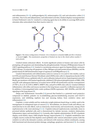 Biomolecules 2020, 10, 1488 2 of 19
anti-inflammatory [8–10], antihyperalgesia [8], antinociceptive [8], and anti-ulcerative colitis [11]
activities. Due to its anti-inflammatory and antioxidant activities, linalool displays neuroprotection
in hemi-Parkinson’s rats [5]. Linalool is a reducing agent due to its ability to scavenge ROS and to
stimulate other antioxidants from their inactive state [1].
in UVB-activated Human Dermal Fibroblasts adult (HDFa) skin cells [1], lipopolysaccharide (LPS)-
stimulated H292 airway epithelial cells [9], and ovalbumin-induced airway hyperresponsiveness [9].
Briefly, pre-treatment with linalool significantly inhibited UVB-induced phosphorylation of ERK1,
JNK, and p38, with subsequent deterrence of nuclear factor-κB NF-κB translocation and the
overexpression of TNF-α, IL-6, IL-10, COX-2, MMP-2, MMP-9, Bax, and p53 in HDFa skin cells [1].
Linalool inhibited inflammatory cells influx and mucus secretion in the lung tissues caused by
ovalbumin exposure [9]. In addition; it downregulated nitric oxide synthase (iNOS) expression, AKT,
MAPKs, and (NF-κB) signaling in the lung tissues [9].
Deepa and Venkatraman Anuradha [14] proved that linalool is a potential renal protective
compound in diabetic patients via re-establishing glucose-metabolizing enzymes and GLUT-1
expression, and inhibiting nephron loss and rescuing kidney from oxidative stress and inflammation
[14].
Figure 1. The stereo-configuration of linalool. (S)-(+)-linalool or coriandrol (left) and (R)-(–)-linalool
or licareol (right). The enantiomeric properties of linalool are due to the chiral carbon number 3 (red-
colored).
Cisplatin, a water-soluble and low-molecular-weight platinum-based drug, is widely used in the
management of widespread types of cancers [15]. Nevertheless, its clinical worth and efficacy are
restricted due to its side effects, such as ototoxicity, renal toxicity, and neurotoxicity, among which
nephrotoxicity is the most alarming [15,16]. Cisplatin-induced nephrotoxicity essentially arises in
proximal tubular epithelial cells and is characterized by tubular necrosis, oxidative destruction,
inflammatory injury, and renal failure [16]. Currently, after cisplatin administration, 20–30% of
patients display acute kidney injury (AKI) despite therapy improvements [15]. Cisplatin metabolizes
into a highly reactive molecule that depletes renal epithelial cells’ natural antioxidant system, both
the oxidative as well as the nitrosative systems, and interacts with numerous cellular constituents,
causing both functional and structural protein damage, autophagy, apoptosis, and necrosis [15]. As
Figure 1. The stereo-configuration of linalool. (S)-(+)-linalool or coriandrol (left) and (R)-(–)-linalool
or licareol (right). The enantiomeric properties of linalool are due to the chiral carbon number 3
(red-colored).
Linalool retains anticancer effects. It exerts significant actions in human oral cancer cells by
prompting cell apoptosis and diminishing the phosphoinositide 3-kinases (PI3K)/protein kinase B
(AKT) signaling pathway [12]. Linalool is a promising anticancer agent for hepatocellular carcinoma
(HCC) therapy via inducing cell apoptosis via Ras, Mitogen-activated protein kinase (MAPKs), and the
protein kinase B (AKT)/mammalian target of rapamycin (mTOR)pathways [13].
Linalool demonstrates anti-inflammatory action in various in vivo and in vitro studies, such as
in UVB-activated Human Dermal Fibroblasts adult (HDFa) skin cells [1], lipopolysaccharide (LPS)-
stimulated H292 airway epithelial cells [9], and ovalbumin-induced airway hyperresponsiveness [9].
Briefly, pre-treatment with linalool significantly inhibited UVB-induced phosphorylation of ERK1, JNK,
and p38, with subsequent deterrence of nuclear factor-κB NF-κB translocation and the overexpression
of TNF-α, IL-6, IL-10, COX-2, MMP-2, MMP-9, Bax, and p53 in HDFa skin cells [1]. Linalool inhibited
inflammatory cells influx and mucus secretion in the lung tissues caused by ovalbumin exposure [9].
In addition; it downregulated nitric oxide synthase (iNOS) expression, AKT, MAPKs, and (NF-κB)
signaling in the lung tissues [9].
Deepa and Venkatraman Anuradha [14] proved that linalool is a potential renal protective
compound in diabetic patients via re-establishing glucose-metabolizing enzymes and GLUT-1
expression, and inhibiting nephron loss and rescuing kidney from oxidative stress and
inflammation [14].
Cisplatin, a water-soluble and low-molecular-weight platinum-based drug, is widely used in the
management of widespread types of cancers [15]. Nevertheless, its clinical worth and efficacy are
restricted due to its side effects, such as ototoxicity, renal toxicity, and neurotoxicity, among which
nephrotoxicity is the most alarming [15,16]. Cisplatin-induced nephrotoxicity essentially arises in
proximal tubular epithelial cells and is characterized by tubular necrosis, oxidative destruction,
inflammatory injury, and renal failure [16]. Currently, after cisplatin administration, 20–30% of patients
display acute kidney injury (AKI) despite therapy improvements [15]. Cisplatin metabolizes into
a highly reactive molecule that depletes renal epithelial cells’ natural antioxidant system, both the
oxidative as well as the nitrosative systems, and interacts with numerous cellular constituents, causing
both functional and structural protein damage, autophagy, apoptosis, and necrosis [15]. As a result
 