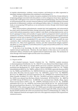Biomolecules 2020, 10, 1488 3 of 19
of cisplatin administration, cytokines, various receptors, and leukocyte are either augmented or
stimulated, leading to inflammation that contributes to renal damage [15].
Toll-like receptors (TLRs) are a family of receptors considered as the first line of innate defense by
recognizing pathogen-associated molecular patterns as well as endogenous tissue injury signals [17].
Among TLRs, TLR4 appears to be a sensor for cisplatin-induced epithelial injury. Once activated, TLR4,
on renal parenchymal cells, activates numerous pathways (such as p38 MAPK), leading to increased
production of inflammatory cytokines, and subsequent kidney injury [18], therefore, in the current
study, we are proposing TLR 4 pathway as one mechanism of action, through which linalool might
exert this action.
Many natural products, phytochemicals, essential oils, food supplements, and nutraceuticals
have been used to ameliorate the kidney damage induced by cisplatin. Many plant extracts, usually
used in folk medicine preparation, improve cisplatin’s side effects, including nephrotoxicity, such as
tea [19], ginseng [20], honey and royal jelly [21], grape seed [22], pomegranate rind [23], seed oil [24],
and flower [25] extracts. Numerous single phytochemical components possess anti-cisplatin-induced
nephrotoxic activity such as capsaicin [26], glycyrrhizic acid [27] and isoliquiritigenin [27], ginsenoside
Rg5 [28], curcumin [29], β-caryophyllene [30], and carnosic acid [31]. Some essential oils exert
a protective effect counteracting cisplatin-induced kidney toxicity: fennel [32] and Pituranthos
chloranthus [33]. Many food supplements, vitamins, and other nutraceuticals mitigate cisplatin’s
side effects, e.g., Panax saponins [34] and anthocyanins [35], grape seed proanthocyanidins [36], vitamin
C [37], and riboflavin [38].
To the best of our knowledge, the effect of linalool has never been investigated against
cisplatin-induced nephrotoxicity. Therefore, the main objective of this study was to examine the
ameliorative efficacy of linalool on the cisplatin-induced nephrotoxicity status. The mechanism of
action through which linalool might exert this action was scrutinized.
2. Materials and Methods
2.1. Reagents and Kits
(R)-(−)-linalool (synonym: licareol, L-linalool, Cat. No. W263516), cisplatin (synonym:
cis-diammineplatium II dichloride, Cat. No. 15663-27-1) were obtained from Merck (Sigma Adrich,
St. Louis, MO., USA). Blood urea nitrogen (BUN) and serum creatinine colorimetric assays were
purchased from Biodiagnostic Co. (Cairo, Egypt). Reduced glutathione (GSH, Cat. No. 703202),
malondialdehyde (MDA, Cat. No. 700870), catalase (CAT, Cat. No.707002), superoxide dismutase (SOD,
Cat. No. 706002), and NADPH (Cat. No. 9000743) ELISA kits were attained from Cayman Chemicals
(Ann Arbor, MI, USA). Cleaved caspase 3 (Cat. No. KHO1091), caspase 9 (Cat. No. BMS2025),
Bcl-2 (Cat. No. ERBCL2L2), and Trizol reagent kit (Cat. No. 15596026) were acquired from Thermo
Fisher Scientific (Carlsbad, CA, USA.). Bax (Cat. No.E4513) and heme oxygenase-1 (HO-1, Cat.
No. E4525) were attained from BioVision (Zürich, Switzerland). RT-PCR kit (Cat. No. RR037A)
and SYBR ExScript RT-PCR kit (Cat. No.RR014B) were purchased from TaKaRa, (Shiga, Japan).
Tumor necrosis factor-α (TNF-α, Cat. No. ab46070), interleukin-1β (IL-1β, Cat. No. ab100768),
interleukin-6 (IL-6, Cat. No. ab100772), and nuclear factor-κB (NF-κB, Cat. No. ab133112) ELISA
kits were purchased from Abcam Co., Ltd. (Eugene, OR, USA). Toll-like receptors TLR4 (SC-10741),
MyD88 (SC-11356), reference gene (β-actin; SC-130656), goat anti-rabbit immunoglobulin (Ig) and
G-horseradish peroxidase (HRP) (SC-2030) antibodies, luminol reagent (SC-2048), and polyvinylidene
fluoride (PVDF) membrane (SC-3723) were purchased from Santa Cruz Biotechnology, Inc. (Dallas, TX,
USA). Additional chemicals and reagents used were of the uppermost analytical rank acquired from
commercial sources.
 