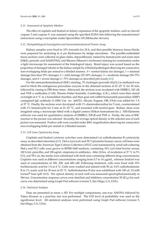 Biomolecules 2020, 10, 1488 6 of 19
2.11. Assessment of Apoptotic Markers
The effect of cisplatin and linalool on kidney expression of the apoptotic markers, such as cleaved
caspase 3 and caspase 9, was assessed using the specified ELISA kits following the manufacturers’
instructions using a microplate reader SpectraMax i3X (Molecular devices).
2.12. Histopathological Investigation and Immunohistochemical Protein Assay
Kidney samples were fixed in 10% formalin for 24 h, and then paraffin beeswax tissue blocks
were prepared for sectioning in 4 µm thicknesses by sledge microtome. The paraffin-embedded
tissue sections were collected on glass slides, deparaffinized, stained by hematoxylin and eosin stain
(HE), periodic acid Schiff (PAS), and Masson (Masson’s trichrome) staining for examination under
a light microscope for assessment of the histological injury. Renal injury was scored based on the
proportion of damaged tubules in the kidney sample by a blinded pathologist observing ten consecutive
non-overlapping fields per animal in a blinded manner.: 0 = normal kidney (no damage), 1 = minimal
damage (less than 25% damage), 2 = mild damage (25–50% damage), 3 = moderate damage (50–75%
damage), and 4 = severe damage ( 75% damage) as described previously [41].
For the immunohistochemical (IHC) staining, 3% hydrogen peroxide (H2O2) in methanol was
used to block the endogenous peroxidase enzyme in the obtained sections at 21–25 ◦C for 30 min,
followed by rinsing in PBS three times. Afterward, the sections were incubated with HMBG1, NF-κB,
and TNF-α antibodies (1:100, Thermo Fisher Scientific, Cambridge, U.K.), which were then stored
overnight at 4 ◦C in a humidified chamber, and then goat anti-rabbit-horseradish peroxidase (HRP)
conjugated IgG antibody (1:1000; Cat. no. ab6721; Abcam, Eugene, OR, USA) was added for 1 h
at 37 ◦C. Finally, the sections were developed with 1% diaminobenzidine for 5 min, counterstained
with 1% hematoxylin for 2 min at 21–25 ◦C, and mounted with neutral gum. Kidney slices were
imagined using a microscope fitted with a digital camera (Nikon Instruments Inc.). NIS-Elements
software was used for quantitative analysis of HMBG1, NFκB and TNF-α. Firstly, the area of IHC
reaction in the picture was selected. Secondly, the average optical density in the selected area of each
picture was measured. Positive cells were counted under 400× magnification observing ten consecutive
non-overlapping fields per animal in a blinded manner.
2.13. Cell Lines Cytotoxicity Assay
Cisplatin and linalool cytotoxic activities were determined via sulforhodamine B cytotoxicity
assay as described elsewhere [42]. HeLa (cervical) and PC3 (prostate) human cancer cell lines were
obtained from the American Type Culture Collection (ATCC) and maintained by serial sub-culturing.
HeLa and PC3 cells were grown in RPMI-1640 medium, containing 10% (v/v) fetal bovine serum,
100 U/mL penicillin, and 100 µg/mL streptomycin antibiotics. After 24 hrs. of incubation at 37 ◦C in 5%
CO2 and 95% air, the media were substituted with fresh ones containing different drug concentrations.
Cisplatin was used at different concentrations ranging from 0.7 to 16 µg/mL, whereas linalool was
used at concentrations of 100, 200, and 400 µM. Following treatment, cells were fixed with 10%
trichloroacetic acid for 1 h at 4 ◦C. Cells were washed and stained with 50 µL 0.4% sulforhodamine
B in 1% acetic acid for 30 min at 25 ◦C. Sulforhodamine B dye was solubilized with 100 µL 10 mM
trizma® base (pH 10.5). The optical density of each well was measured spectrophotometrically at
564 nm. Concentration–response curves were sketched and inhibitory concentration 50 (IC50) for each
curve was determined using Graph Pad software (version 5, San Diego, CA, USA).
2.14. Statistical Analysis
Data are presented as mean ± SD. For multiple comparisons, one-way ANOVA followed by
Tukey–Kramer as a post-hoc test was performed. The 0.05 level of probability was used as the
significance level. All statistical analyses were performed using Graph Pad software (version 5,
San Diego, CA, USA).
 