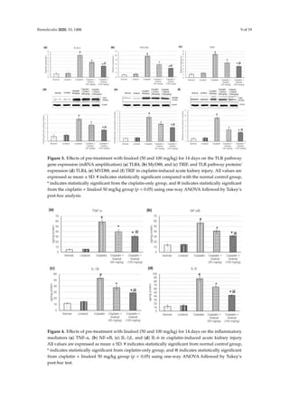 Biomolecules 2020, 10, 1488 9 of 19
Biomolecules 2020, 10, x 9 of 19
Figure 3. Effects of pre-treatment with linalool (50 and 100 mg/kg) for 14 days on the TLR pathway
gene expression (mRNA amplification) (a) TLR4, (b) MyD88, and (c) TRIF, and TLR pathway proteins’
expression (d) TLR4, (e) MYD88, and (f) TRIF in cisplatin-induced acute kidney injury. All values are
expressed as mean ± SD. # indicates statistically significant compared with the normal control group,
* indicates statistically significant from the cisplatin-only group, and @ indicates statistically
significant from the cisplatin + linalool 50 mg/kg group (p  0.05) using one-way ANOVA followed
by Tukey’s post-hoc analysis.
3.5. Inflammatory Mediators
The evaluation of different inflammatory mediators such as TNF-α, IL-1β, IL-6 and NF-κB
verified the protective effects of linalool (50 and 100 mg/kg) against cisplatin-induced acute kidney
injury (Figure 4). Cisplatin administration induced an augmentation in various inflammatory
mediators, indicating severe inflammatory status, whereas no significant change was detected in
animals administered linalool only. Linalool ingestion at a dose of 100 mg/kg prior to the cisplatin
insult significantly decreased inflammatory mediators compared to linalool at a dose of 50 mg/kg,
reaching 39.65 ± 4.01 vs. 30.68 ± 2.5 for TNF-α, 37.82 ± 3.4 vs. 28.84 ± 2.7 for IL-1β, 65.06 ±3.8 vs. 42.56
±2.32 for IL-6, and 41.15 ± 3.12 vs. 31.34 ± 1.62 NF-κB.
Figure 3. Effects of pre-treatment with linalool (50 and 100 mg/kg) for 14 days on the TLR pathway
gene expression (mRNA amplification) (a) TLR4, (b) MyD88, and (c) TRIF, and TLR pathway proteins’
expression (d) TLR4, (e) MYD88, and (f) TRIF in cisplatin-induced acute kidney injury. All values are
expressed as mean ± SD. # indicates statistically significant compared with the normal control group,
* indicates statistically significant from the cisplatin-only group, and @ indicates statistically significant
from the cisplatin + linalool 50 mg/kg group (p  0.05) using one-way ANOVA followed by Tukey’s
post-hoc analysis.
Figure 3. Effects of pre-treatment with linalool (50 and 100 mg/kg) for 14 days on the TLR pathway
gene expression (mRNA amplification) (a) TLR4, (b) MyD88, and (c) TRIF, and TLR pathway proteins’
expression (d) TLR4, (e) MYD88, and (f) TRIF in cisplatin-induced acute kidney injury. All values are
expressed as mean ± SD. # indicates statistically significant compared with the normal control group,
* indicates statistically significant from the cisplatin-only group, and @ indicates statistically
significant from the cisplatin + linalool 50 mg/kg group (p  0.05) using one-way ANOVA followed
by Tukey’s post-hoc analysis.
3.5. Inflammatory Mediators
The evaluation of different inflammatory mediators such as TNF-α, IL-1β, IL-6 and NF-κB
verified the protective effects of linalool (50 and 100 mg/kg) against cisplatin-induced acute kidney
injury (Figure 4). Cisplatin administration induced an augmentation in various inflammatory
mediators, indicating severe inflammatory status, whereas no significant change was detected in
animals administered linalool only. Linalool ingestion at a dose of 100 mg/kg prior to the cisplatin
insult significantly decreased inflammatory mediators compared to linalool at a dose of 50 mg/kg,
reaching 39.65 ± 4.01 vs. 30.68 ± 2.5 for TNF-α, 37.82 ± 3.4 vs. 28.84 ± 2.7 for IL-1β, 65.06 ±3.8 vs. 42.56
±2.32 for IL-6, and 41.15 ± 3.12 vs. 31.34 ± 1.62 NF-κB.
Figure 4. Effects of pre-treatment with linalool (50 and 100 mg/kg) for 14 days on the inflammatory
mediators (a) TNF-α, (b) NF-κB, (c) IL-1β, and (d) IL-6 in cisplatin-induced acute kidney injury.
All values are expressed as mean ± SD. # indicates statistically significant from normal control group,
* indicates statistically significant from cisplatin-only group, and @ indicates statistically significant
from cisplatin + linalool 50 mg/kg group (p  0.05) using one-way ANOVA followed by Tukey’s
post-hoc test.
 