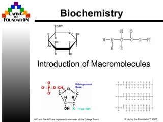 Biochemistry Introduction of Macromolecules 