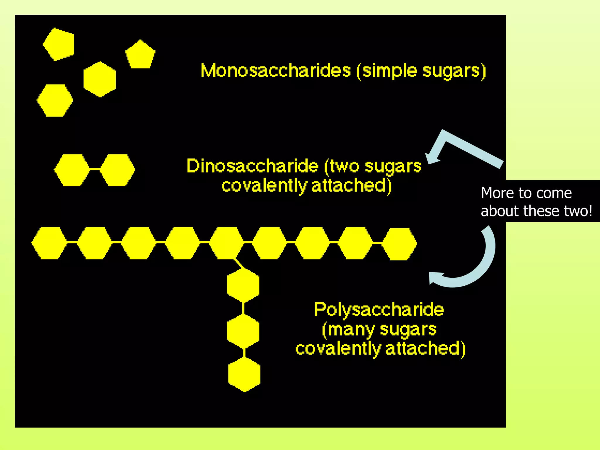 More to come about these two! 