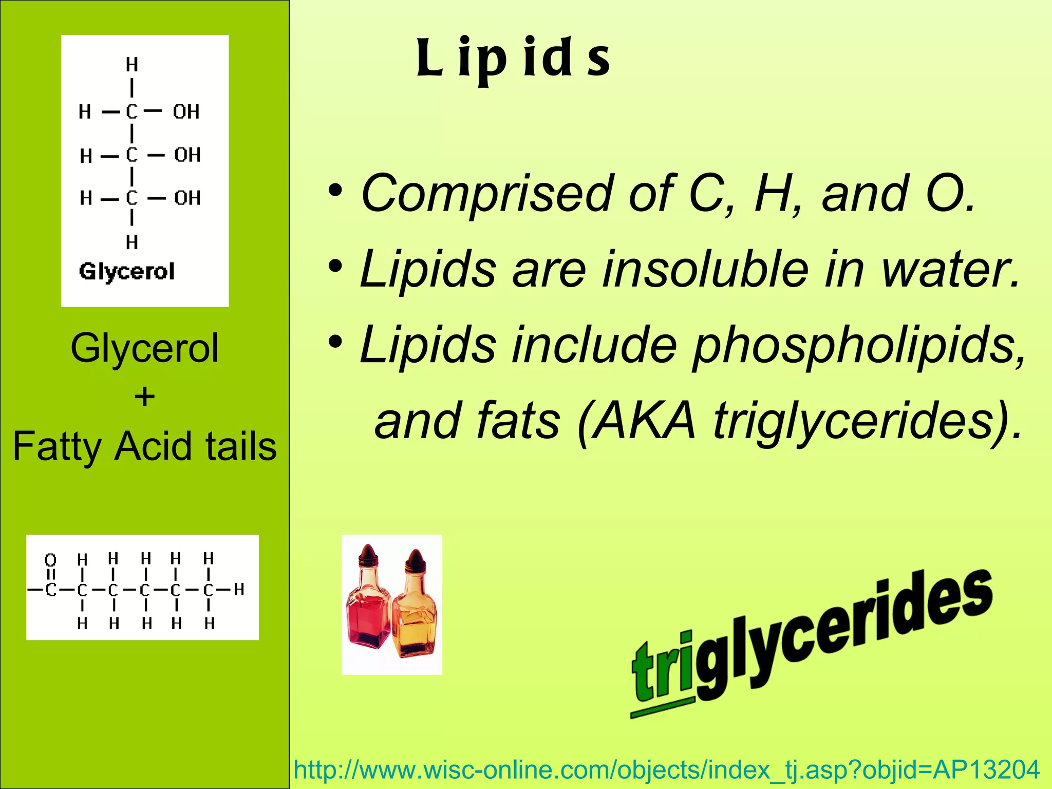 Glycerol + Fatty Acid tails Lipids Comprised of C, H, and O. Lipids are insoluble in water.  Lipids include phospholipids,  and fats (AKA triglycerides). http://www.wisc-online.com/objects/index_tj.asp?objid=AP13204 