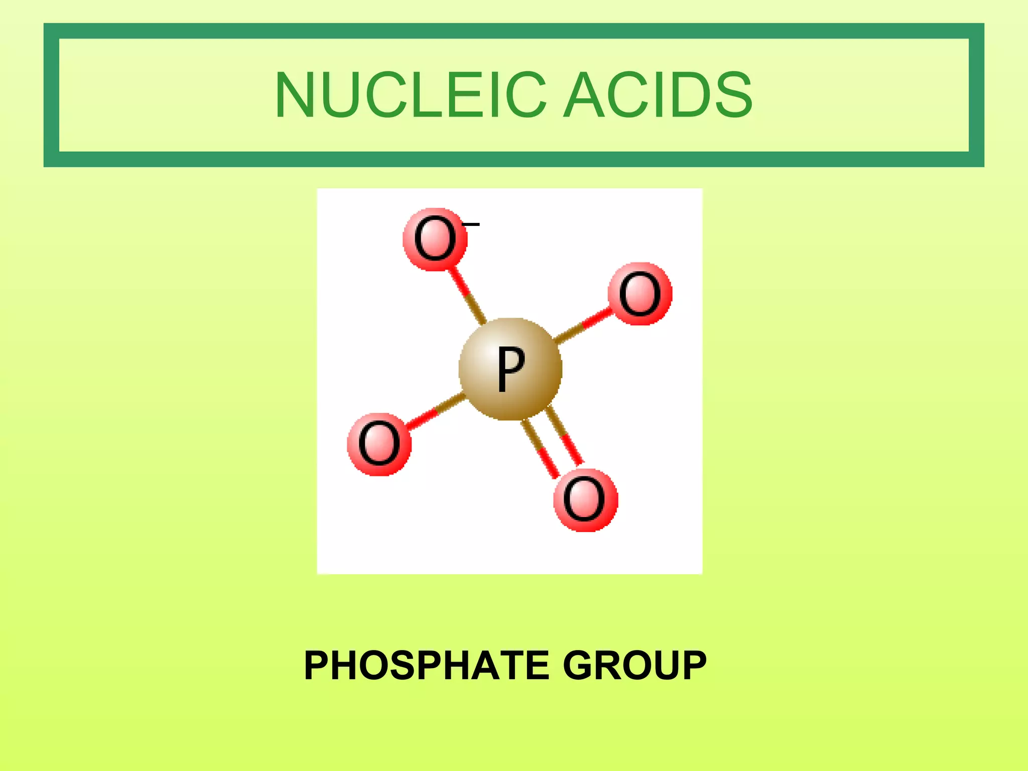 NUCLEIC ACIDS PHOSPHATE GROUP 