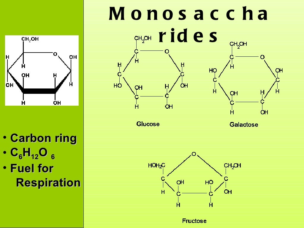 Biomolecules