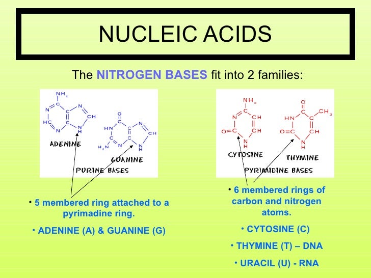 Biomolecules