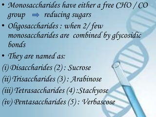 • Monosaccharides have either a free CHO / CO
   group       reducing sugars
• Oligosaccharides : when 2/ few
   monosaccharides are combined by glycosidic
   bonds
• They are named as:
(i) Disaccharides (2) : Sucrose
(ii) Trisaccharides (3) : Arabinose
(iii) Tetrasaccharides (4) :Stachyose
(iv) Pentasaccharides (5) : Verbascose
 