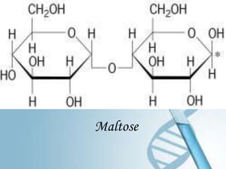 Maltose
 
