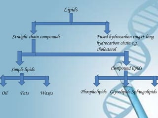 Lipids



      Straight chain compounds                    Fused hydrocarbon rings+ long
                                                  hydrocarbon chain e.g,
                                                  cholesterol


      Simple lipids                                      Compound lipids



Oil        Fats       Waxes               Phospholipids Glycolipids Sphingolipids
 