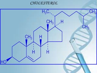 CHOLESTEROL
 