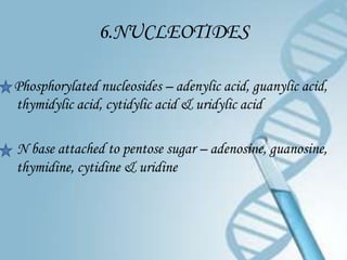 6.NUCLEOTIDES

Phosphorylated nucleosides – adenylic acid, guanylic acid,
thymidylic acid, cytidylic acid & uridylic acid

N base attached to pentose sugar – adenosine, guanosine,
thymidine, cytidine & uridine
 